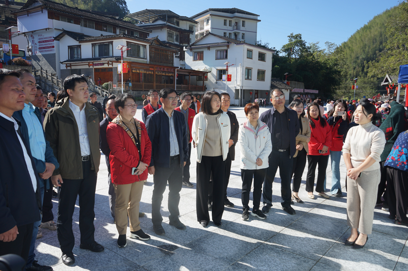 自治区卫健委、市卫健委联合市中医院赴黄沙瑶族乡开展